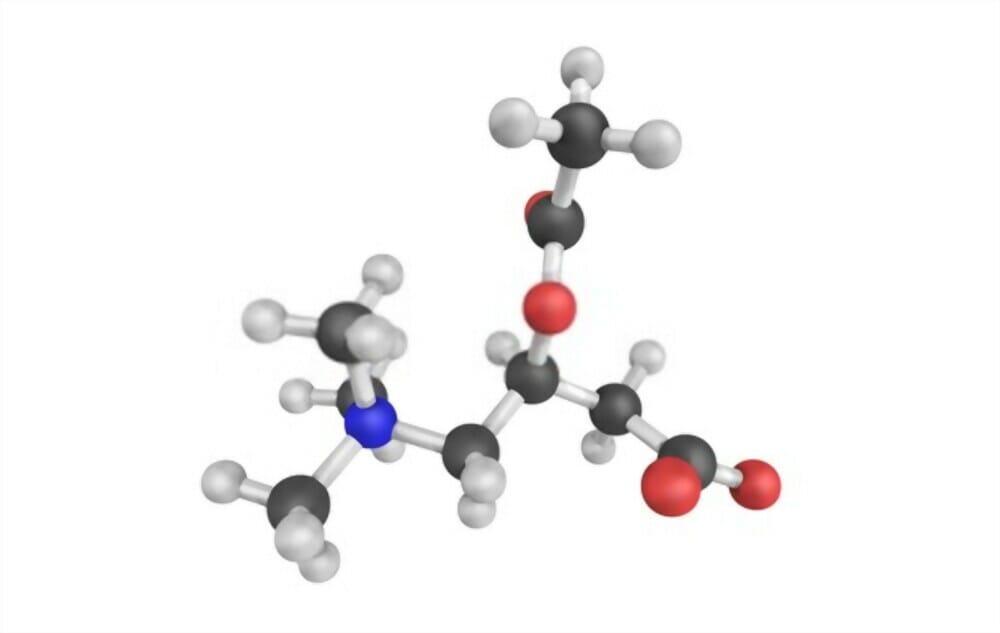 N- Acetyl L- Carnitine