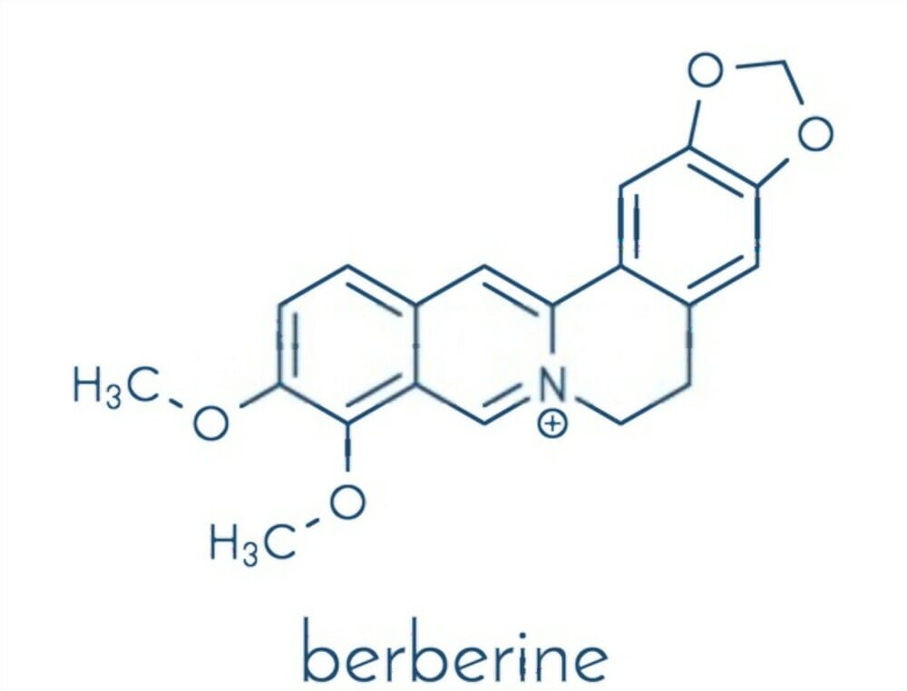  Berberine HCI 