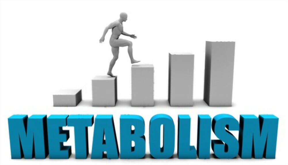 Metabolic Enhancing Blend 