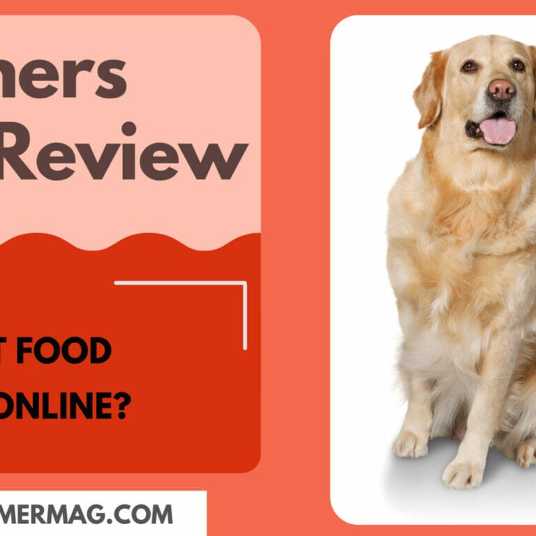 Review: The Farmers Dog | is the best pet food available? {2022 Guide}