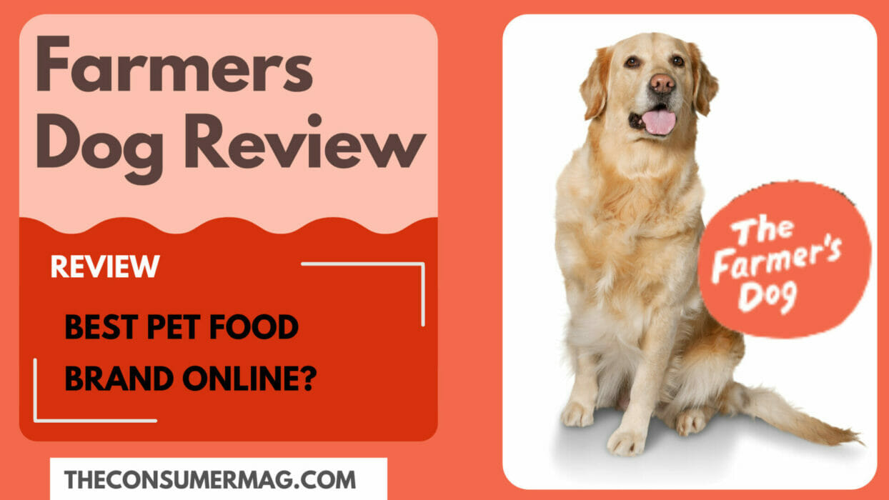 Review: The Farmers Dog | is the best pet food available? {2023 Guide}