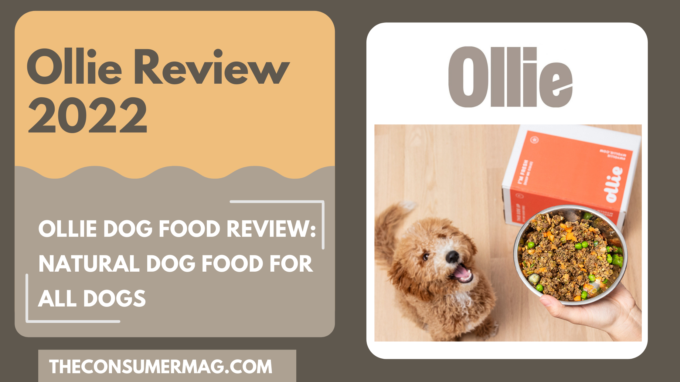 Ollie Review 2023− Everything you need to know about Ollie Dog Food
