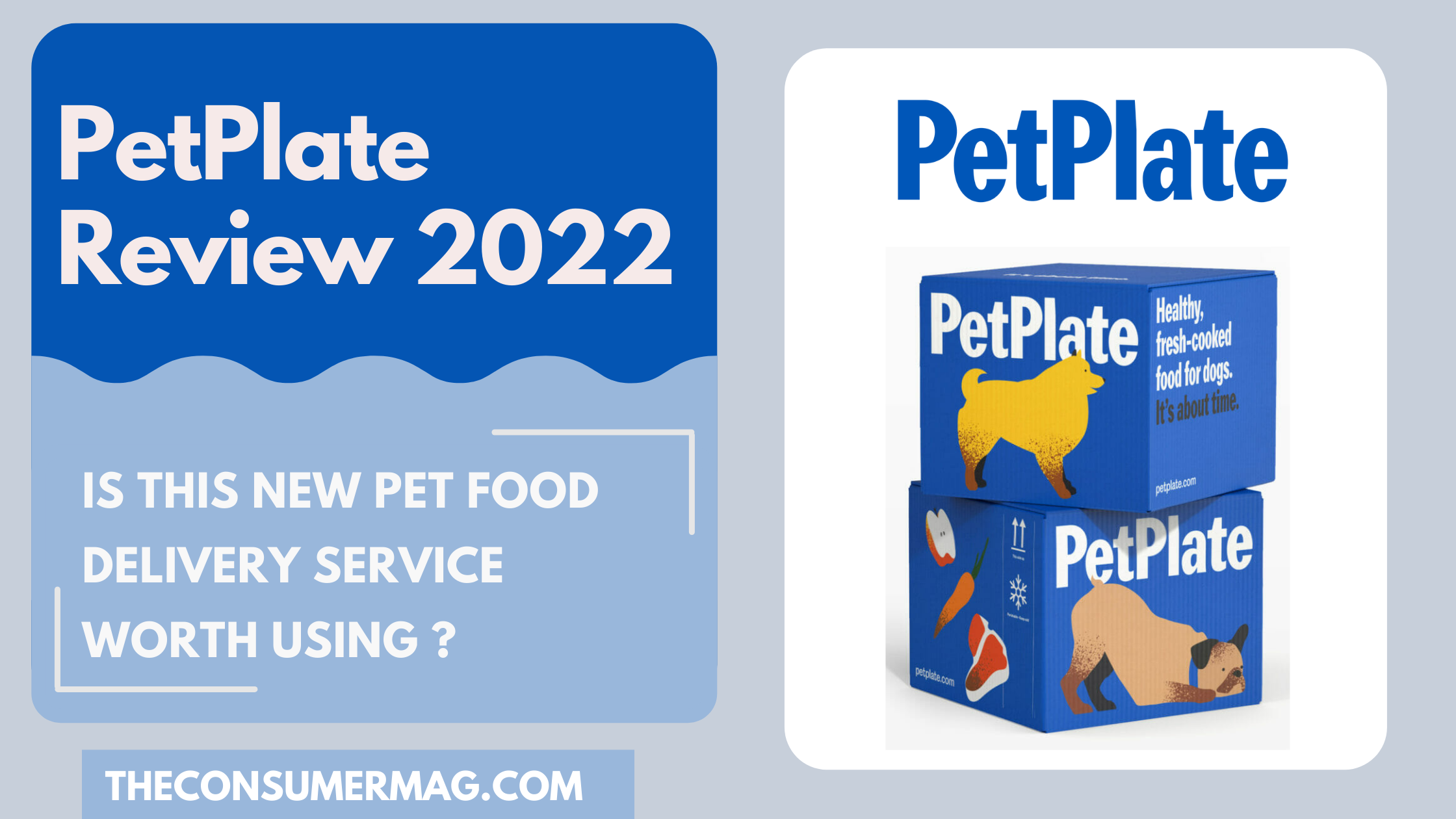 Pet Plate Review – Is It Legit Dog Food Subscription?