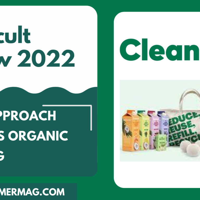 Cleancult Review 2022: A new approach towards organic cleaning