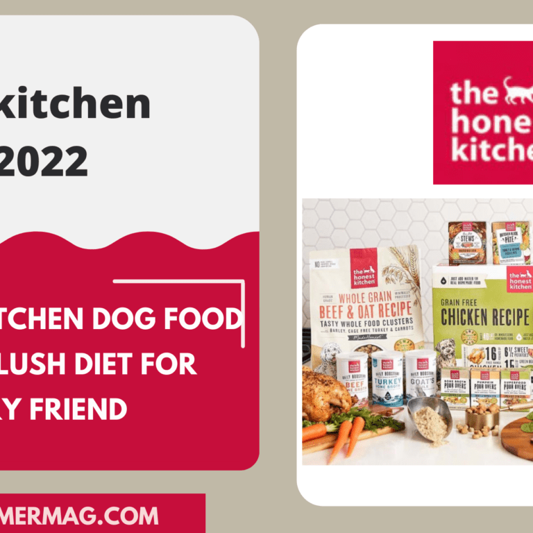 The Honest Kitchen Review 2022: A Lush Diet For Your Furry Friend