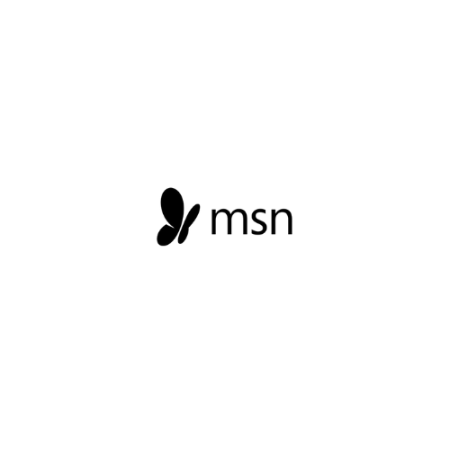msn logo image