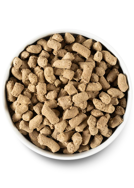 Surf and Turf Freeze-Dried Raw Dog Food Food Picture