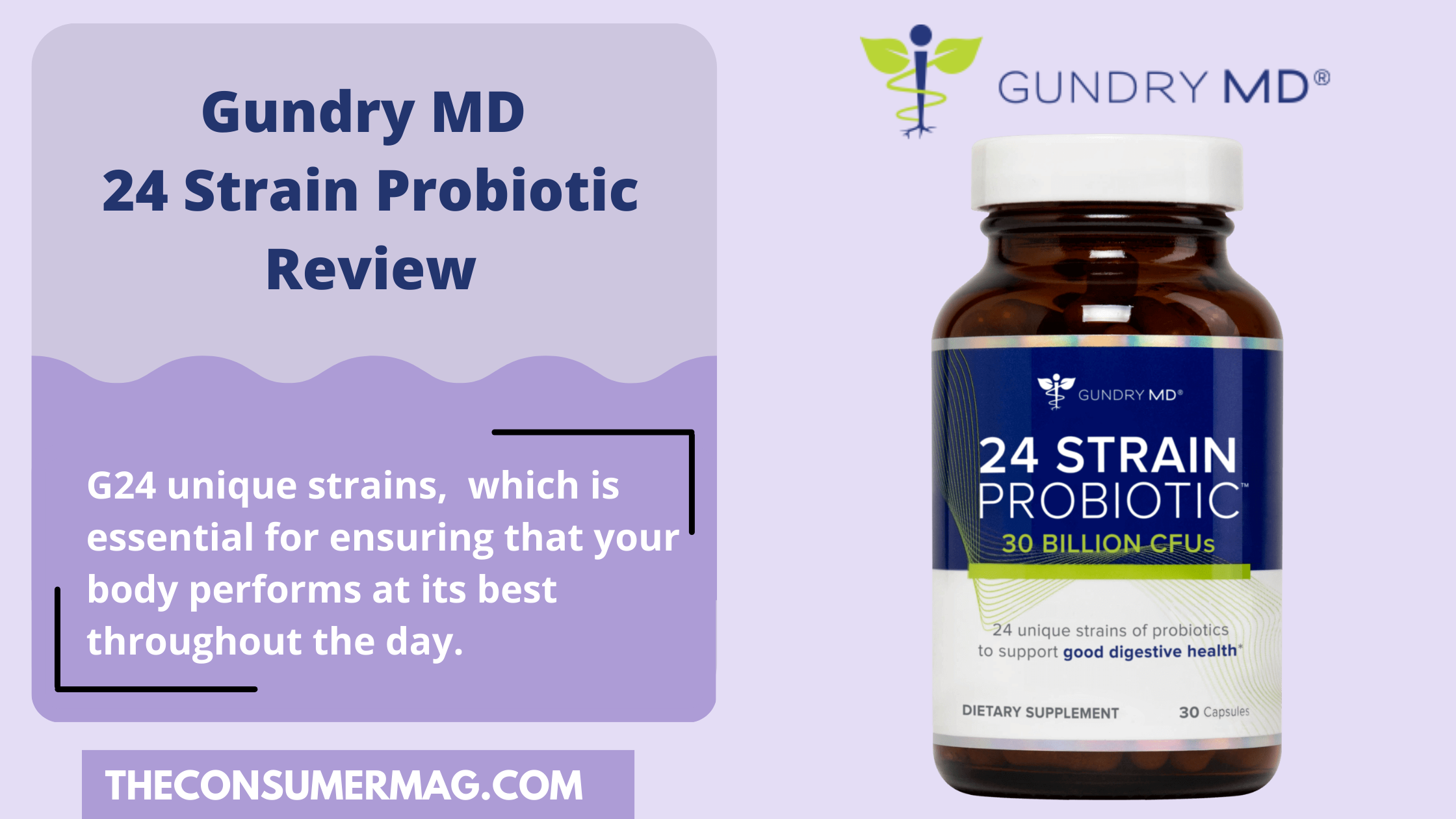 24 Strain Probiotics featured image