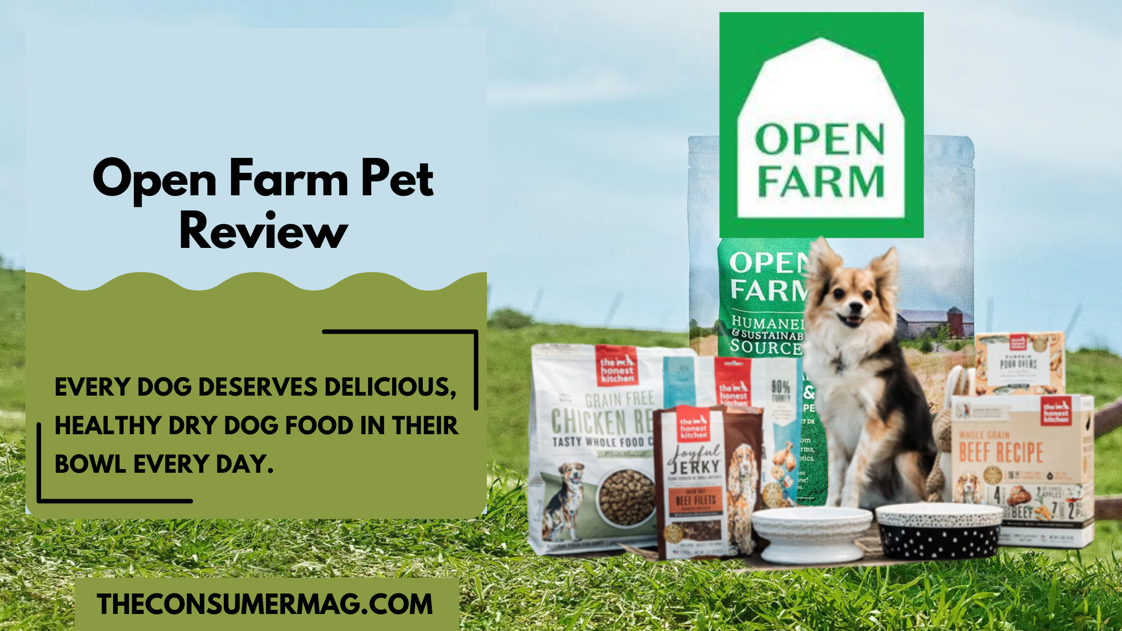 Open Farm Pet Review 2024 – Read All Open Farm Pet Food Reviews