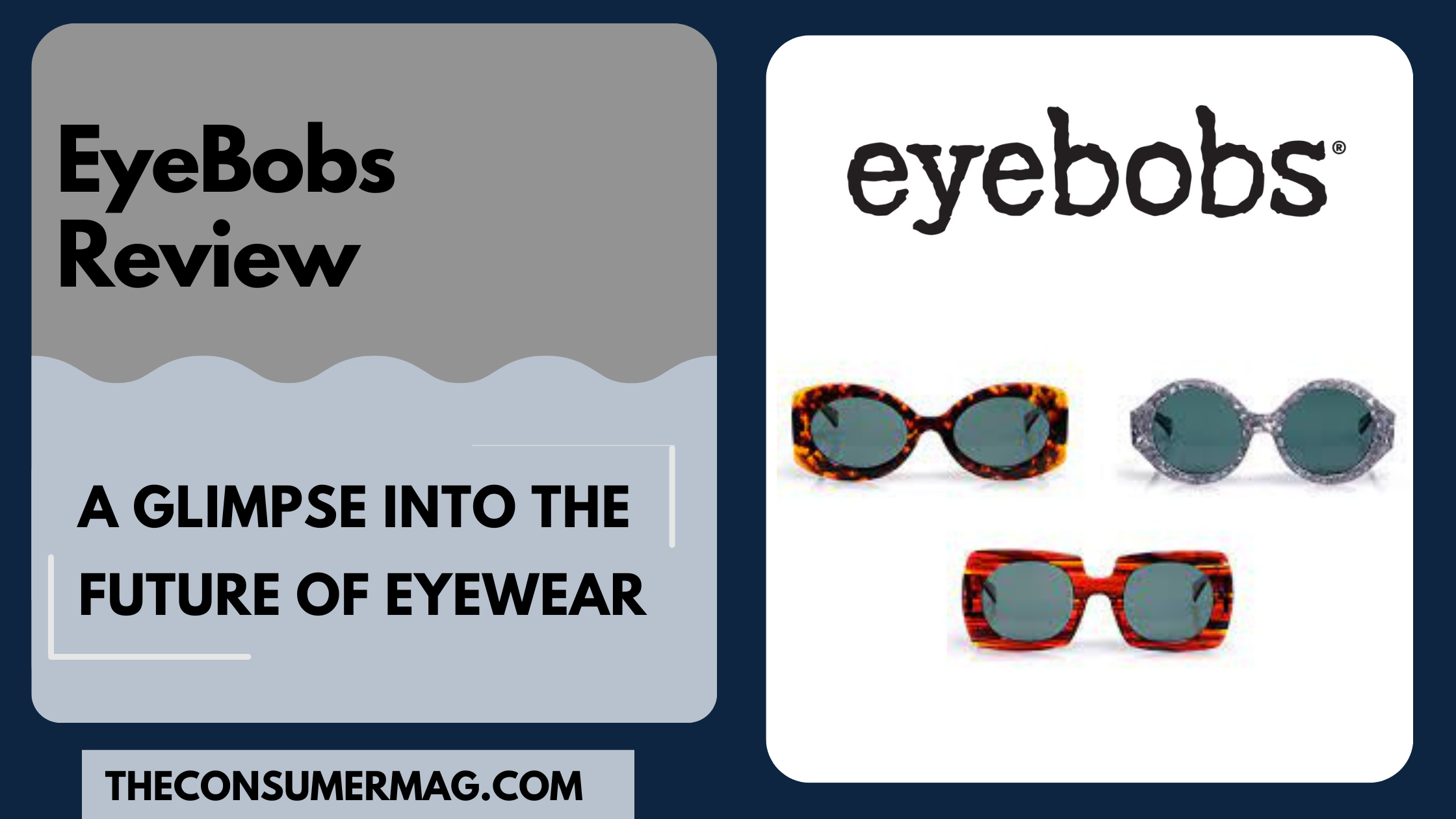EyeBobs Review- A Glimpse Into The Future of Eyewear
