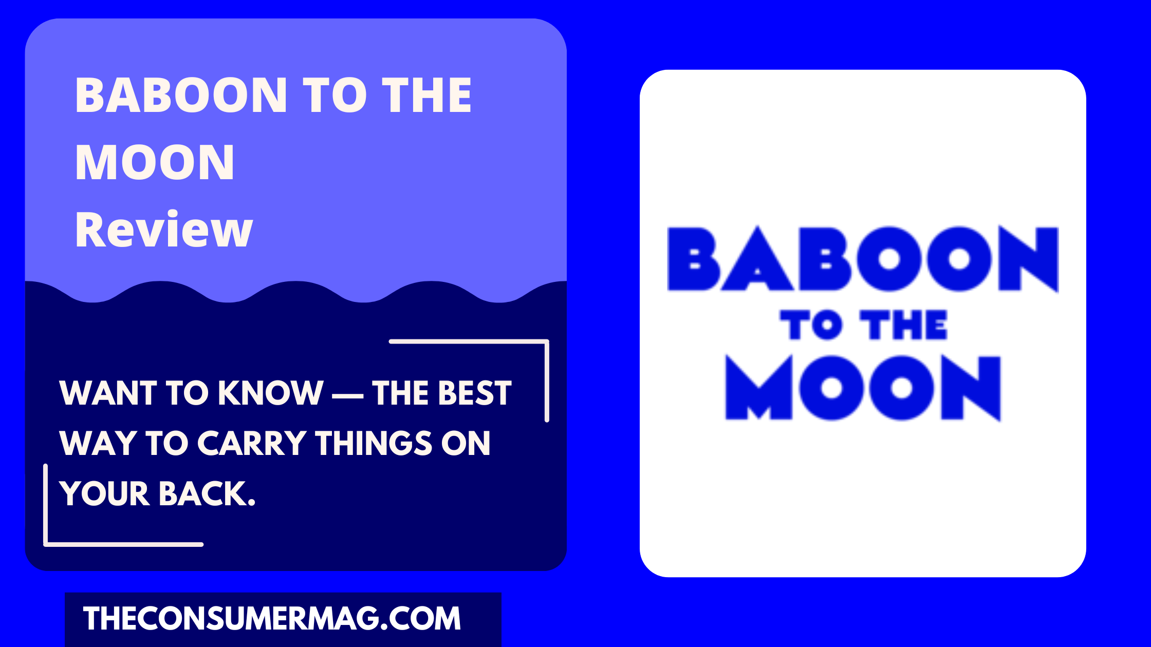Baboon to the Moon featured image