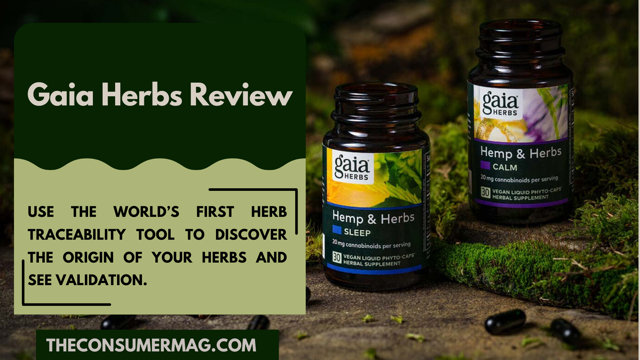 Gaia herbs featured image
