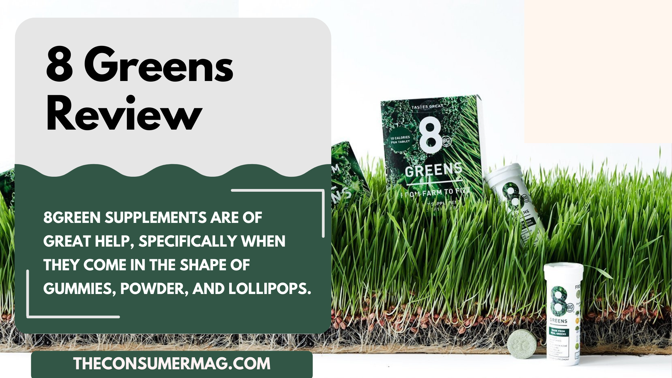 8Green Review 2023 | Read All 8Green Reviews |