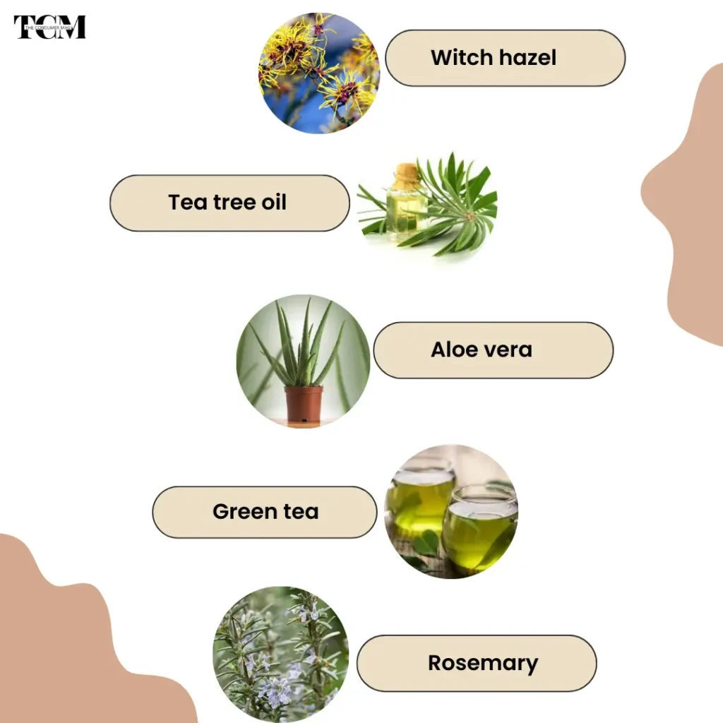 Natural Elements To Cure Oily Skin