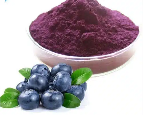 Blueberry Extract 