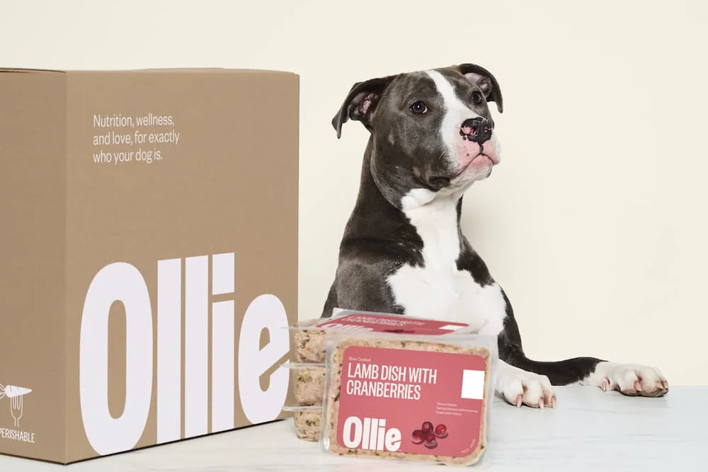 ollie dog food 
