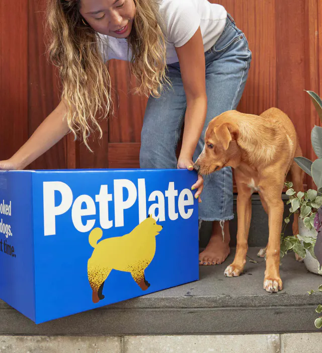 Pet Plate Dog Food