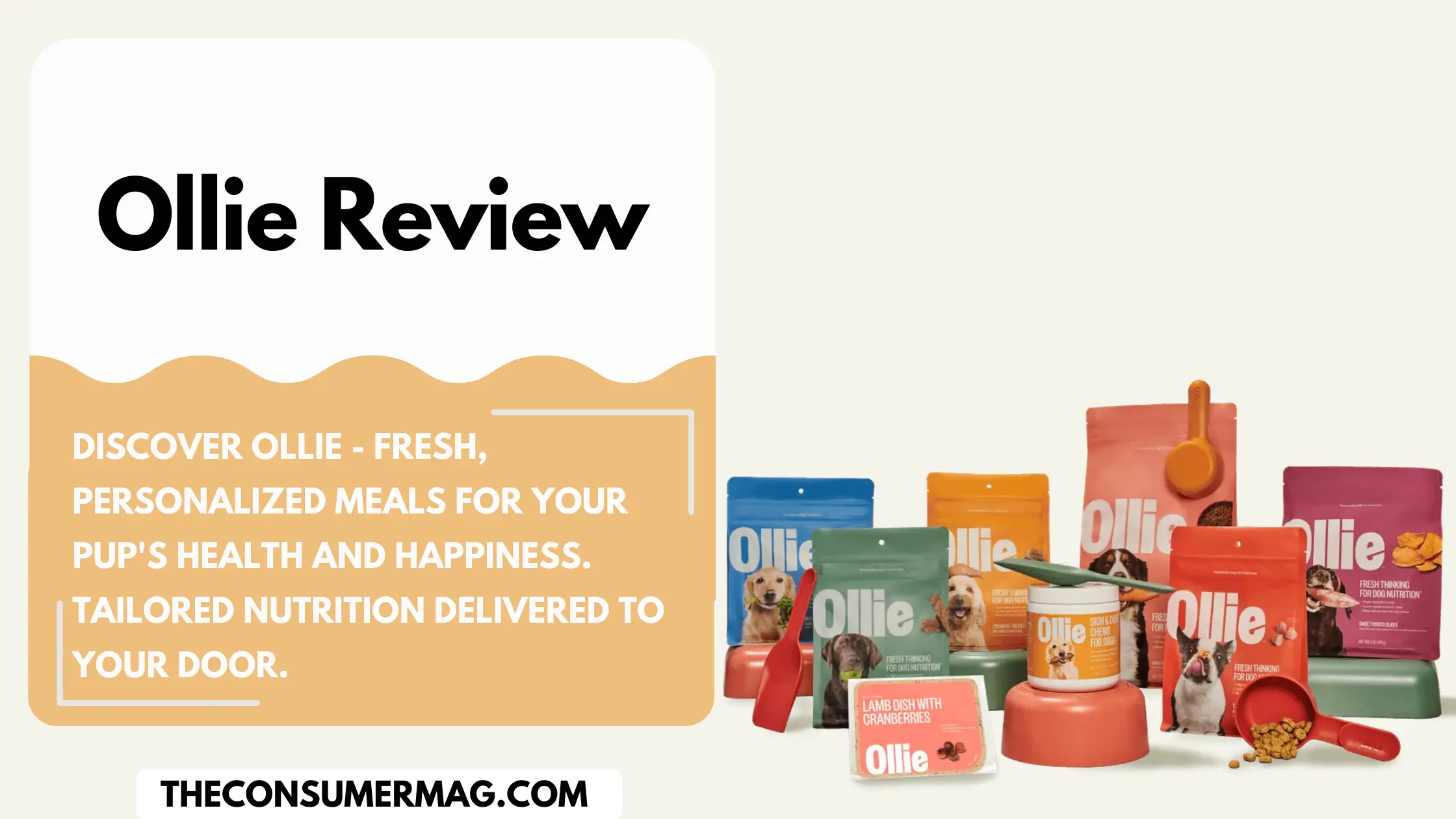 Ollie Dog Food Review 2024− Everything you need to know about Ollie Dog Food