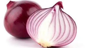 Onion 